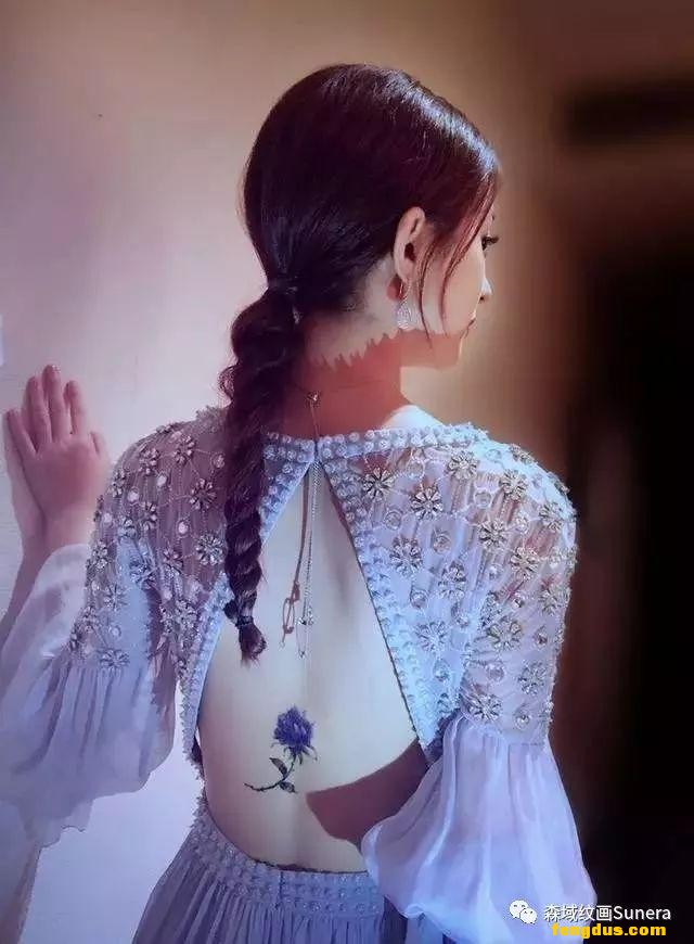 Sunera�����زģ��������������
