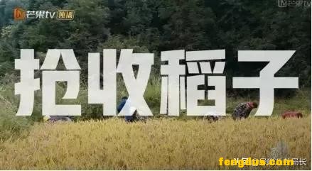 ��17��������������Լս��ȴ����䱩¶���ػʵ��˵Ĵ�����ơ���