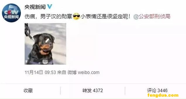 ����Ȧ��������������Ȯ�����ǣ�